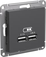 Зарядное устройство USB Schneider, USB-A x 2, 2.1A (Базальт)